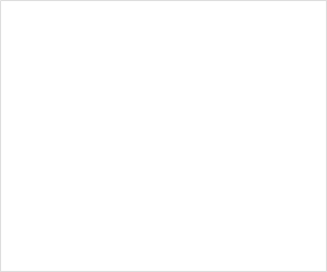 dei_11-2023_LOGO_300x250